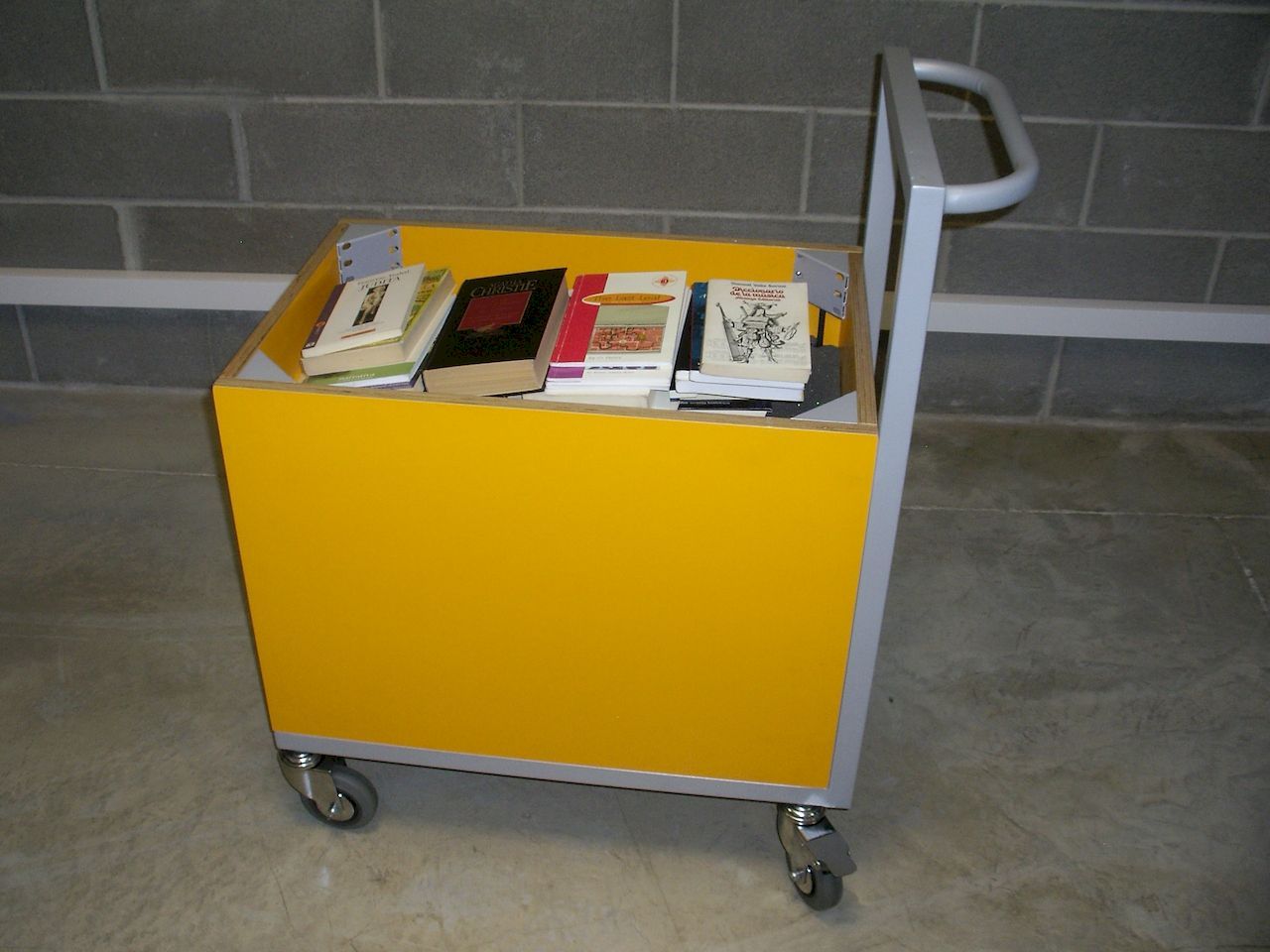 Book loans display cart